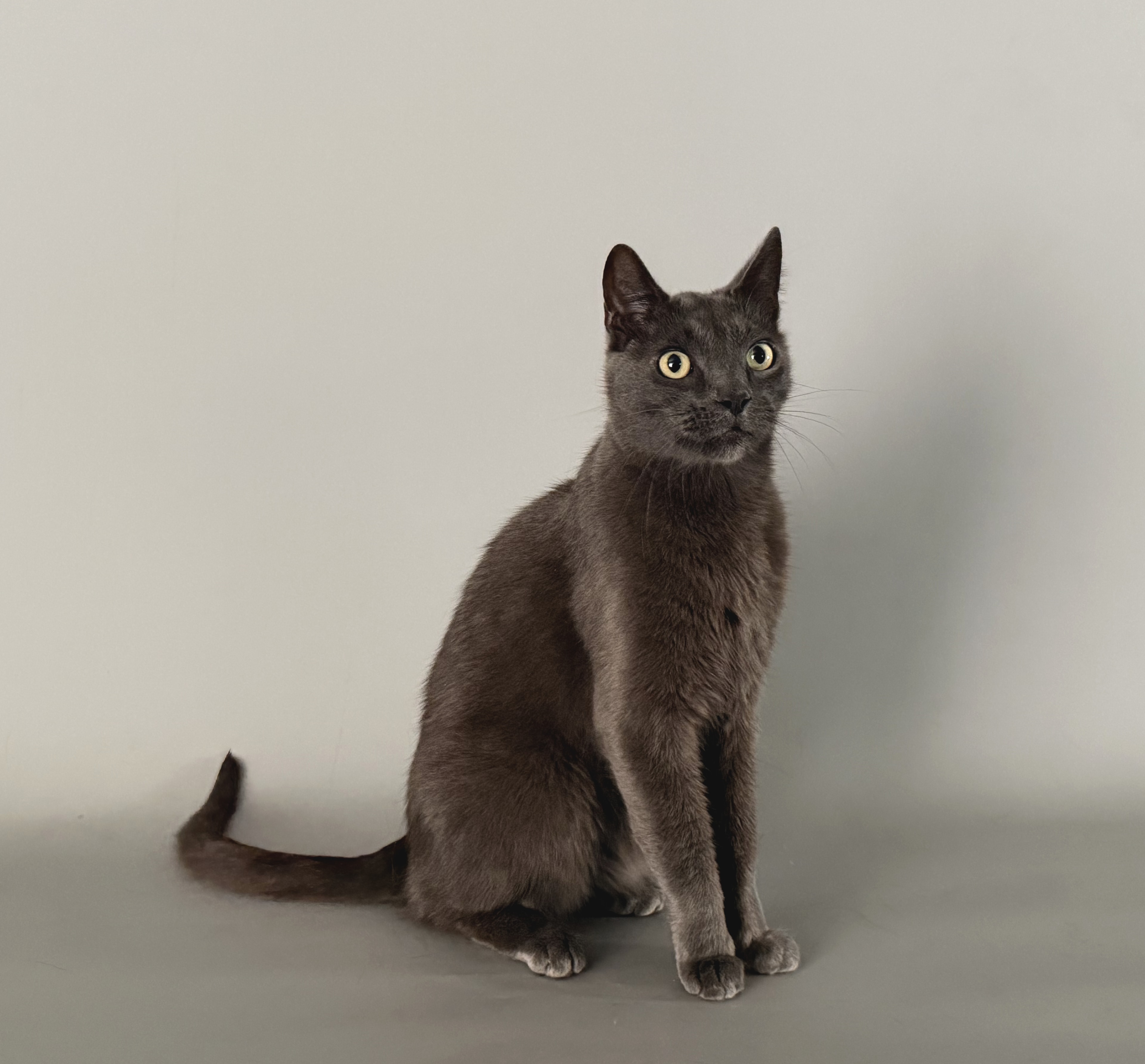 Russian Blue Team — Sergei